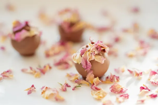 Casino Sun Palace Aplicación Android/iOS